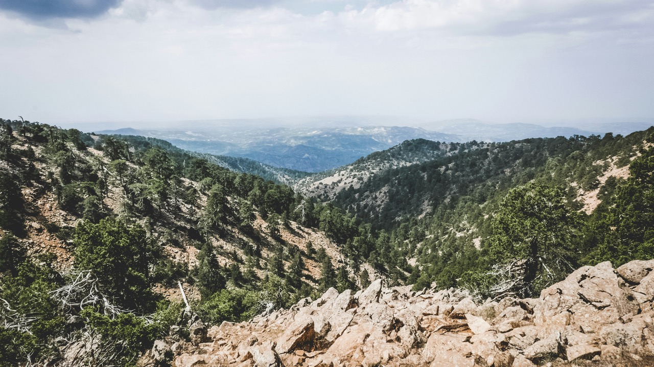 Borovicové lesy a skalnaté svahy v pohorí Troodos