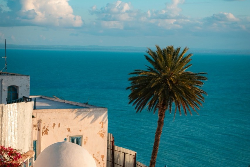 Biele domy a palma s výhľadom na more v Sidi Bou Said