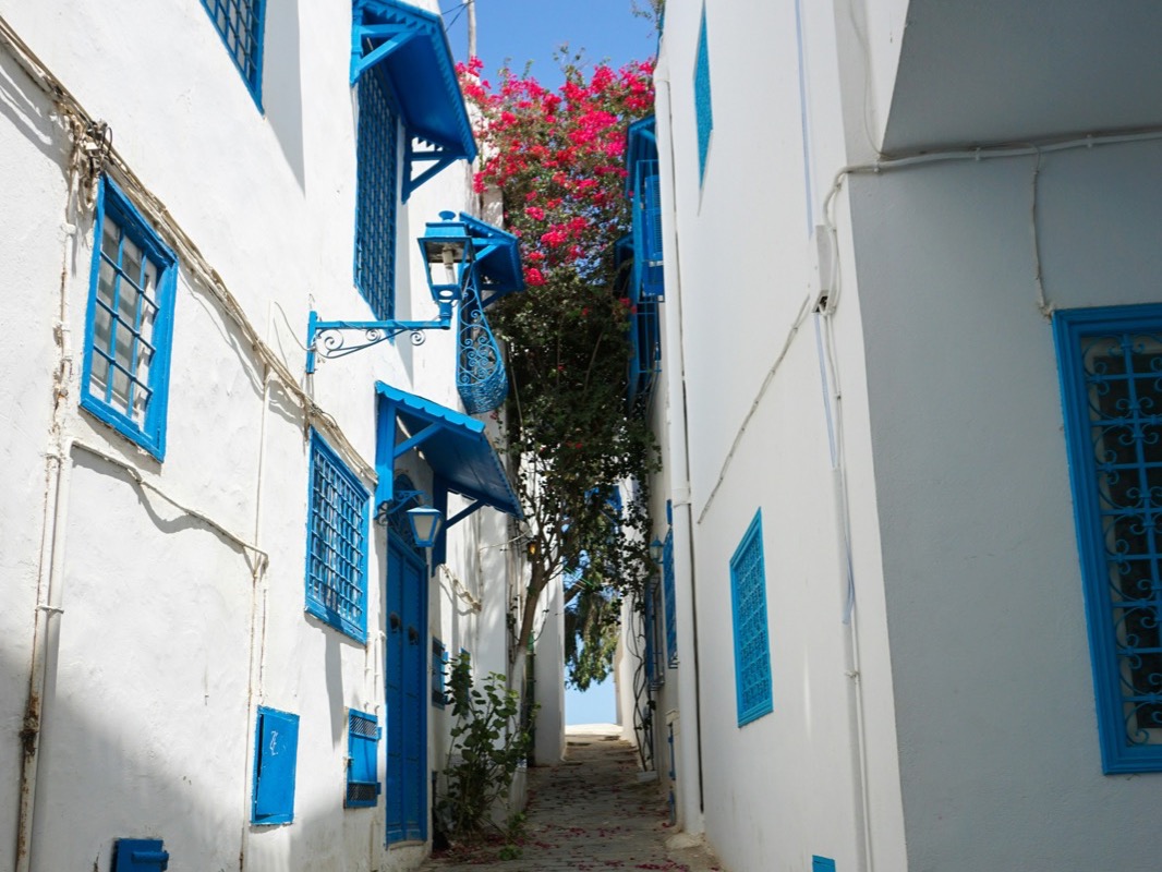 Úzka ulička s modrými oknami a okenicami v meste Sidi Bou Said