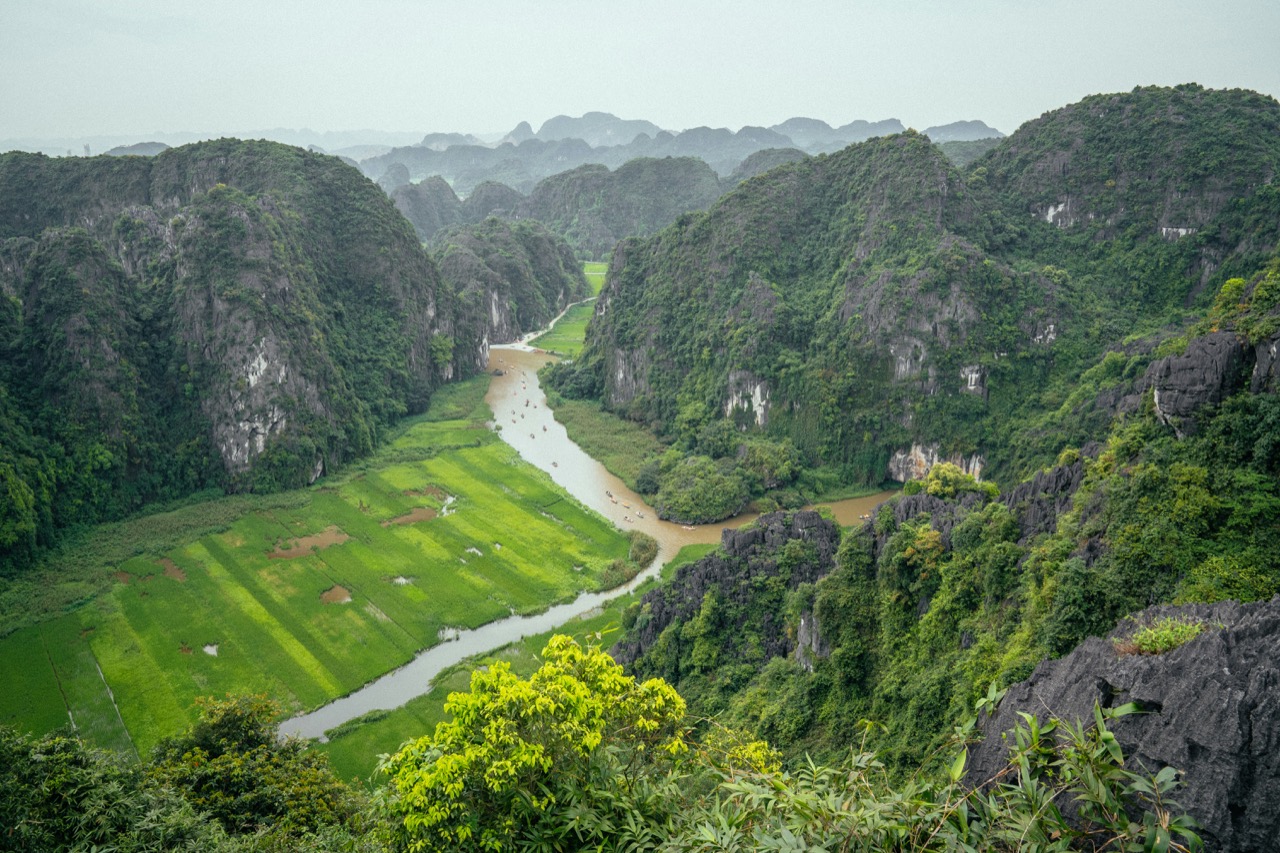 Ryžové polia a vápencové kopce pri Ninh Binh